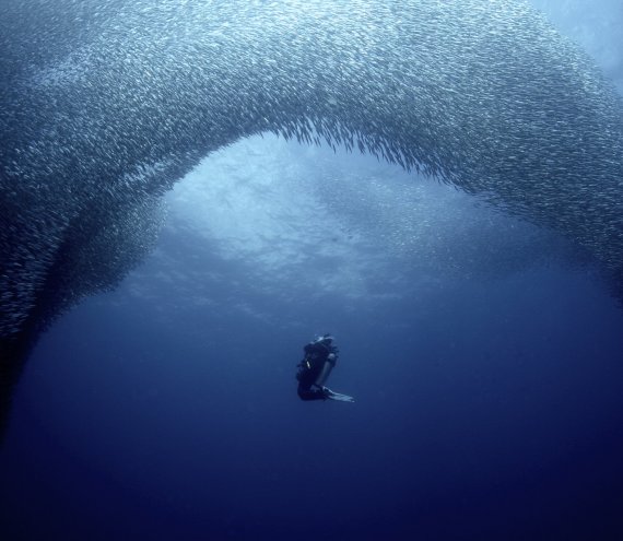Moalboal