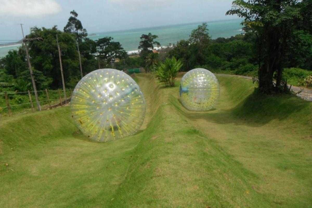 Zorbing