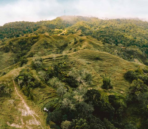 Mt. Bandilaan National Park