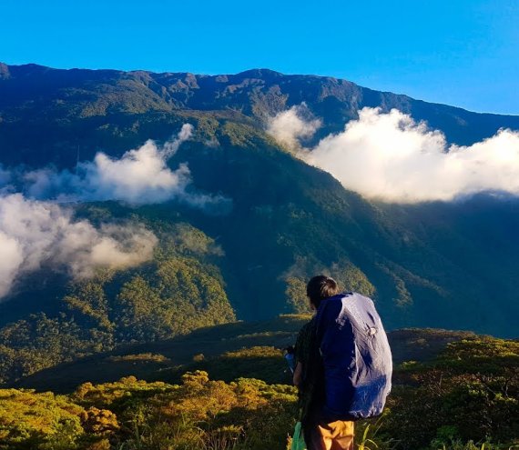 Mt. Halcon