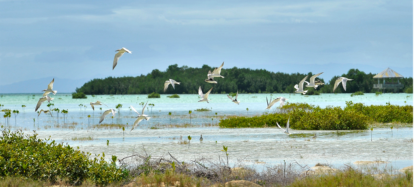 Flora und Fauna